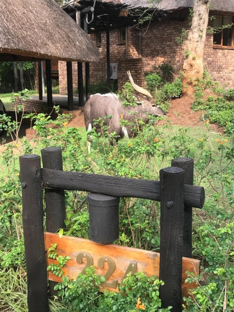 האזיביו Kruger Park Lodge, Kubu Lodge 224 מראה חיצוני תמונה
